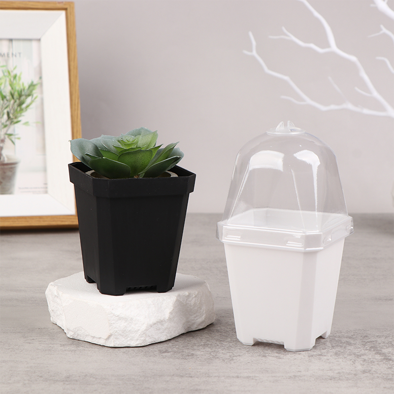 Smart Garden Domes - إناء صغير مربع الشكل بقبة رطوبة