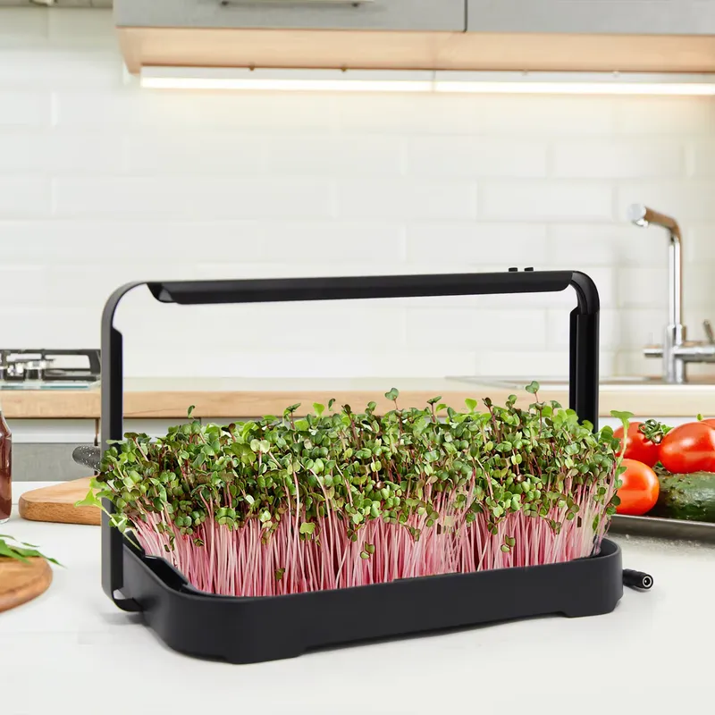 Smart Garden System - صينية زراعة مائية داخلية، نظام زراعة