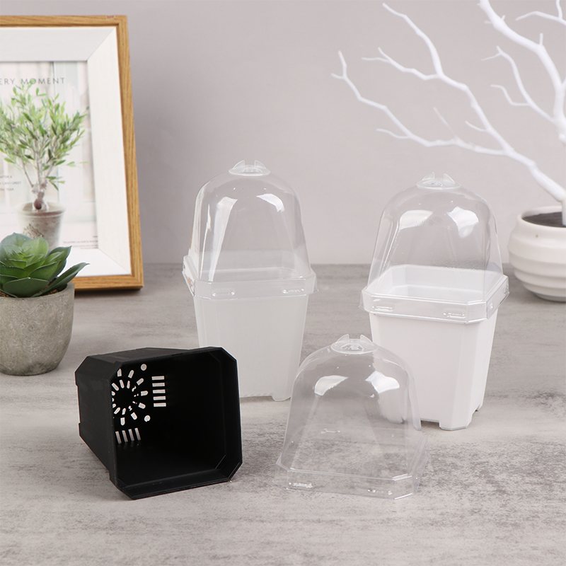 إناء صغير مربع الشكل بقبة رطوب - مراجعة Smart Garden Domes وسعره