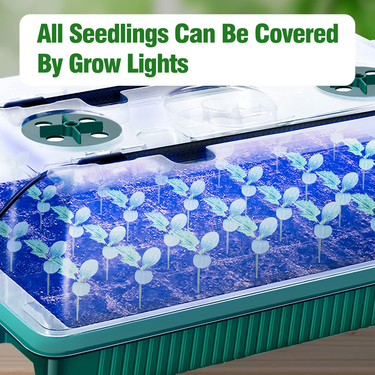 عبوتان ، صواني بداية البذور مع - مراجعة Smart Garden Domes وسعره