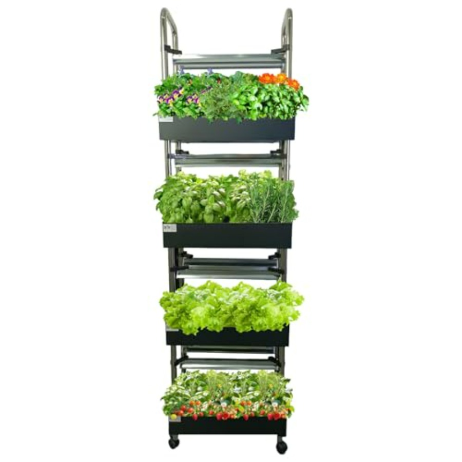 نظام زراعة مائية داخلي: حديقة  - مراجعة Smart Garden System وسعره